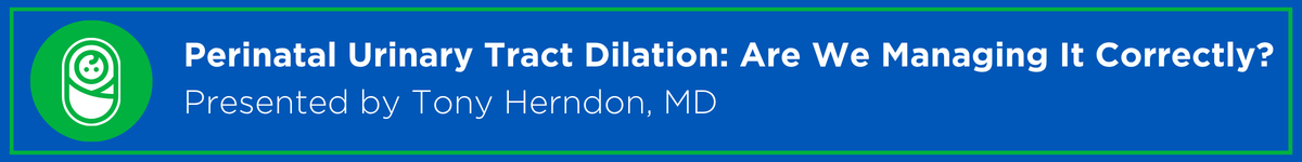 Perinatal Urinary Tract Dilation: Are We Managing It Correctly? Banner